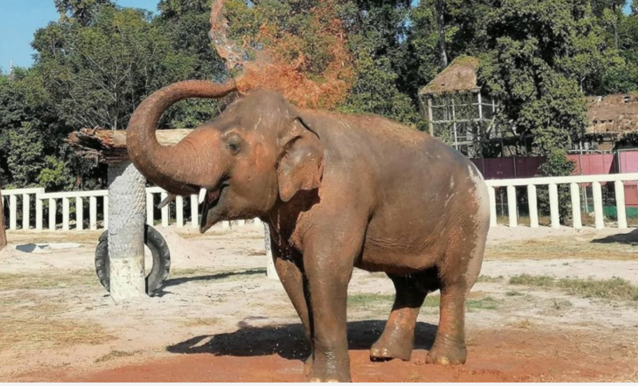 Cambodia Wildlife Sanctuary